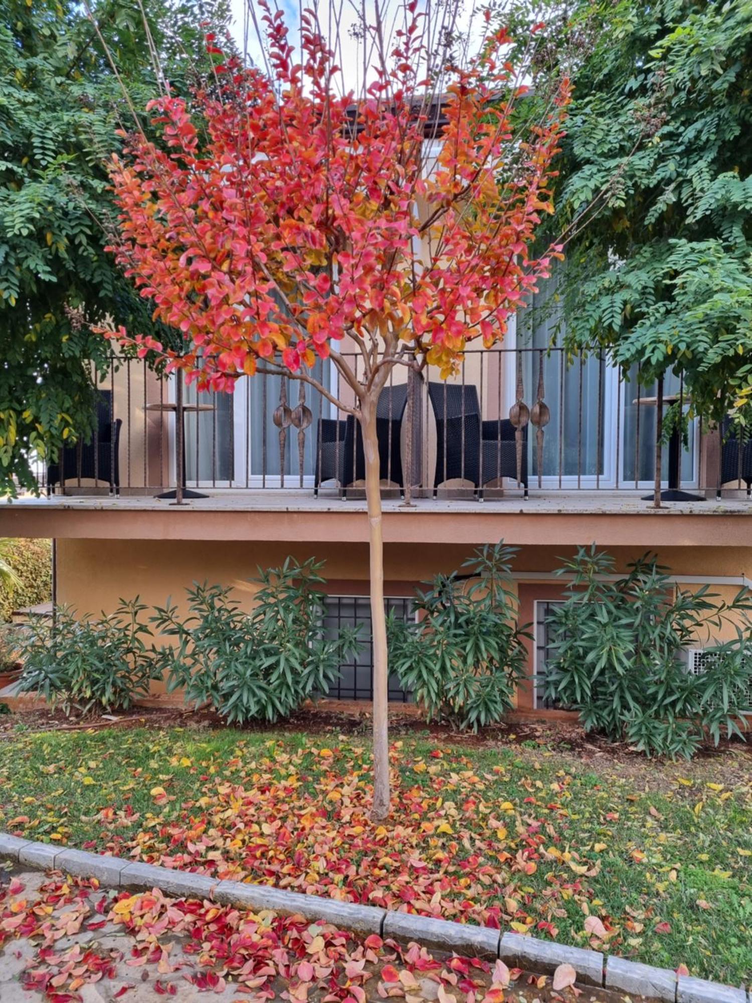 Hotel Zlatna Vala Umago Esterno foto